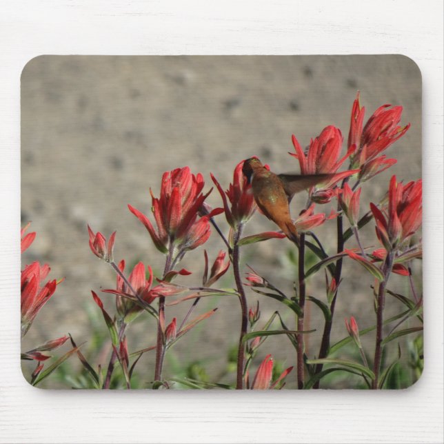 Hummingbird-Kardinal-Blume Mousepad (Vorne)