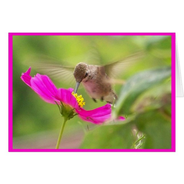 Hummingbird-Karte (Vorderseite (Horizontal))