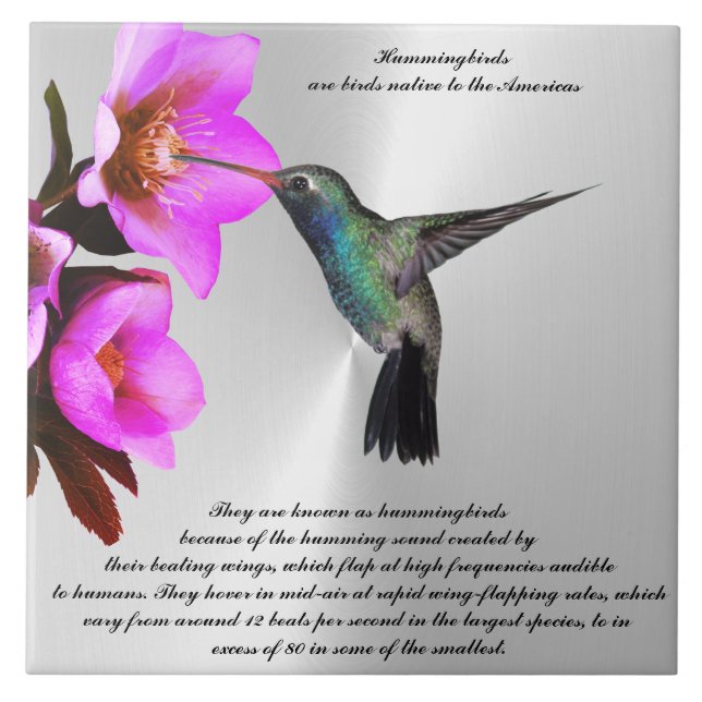 HUMMINGBIRD-Keramik Fliese (Vorderseite)