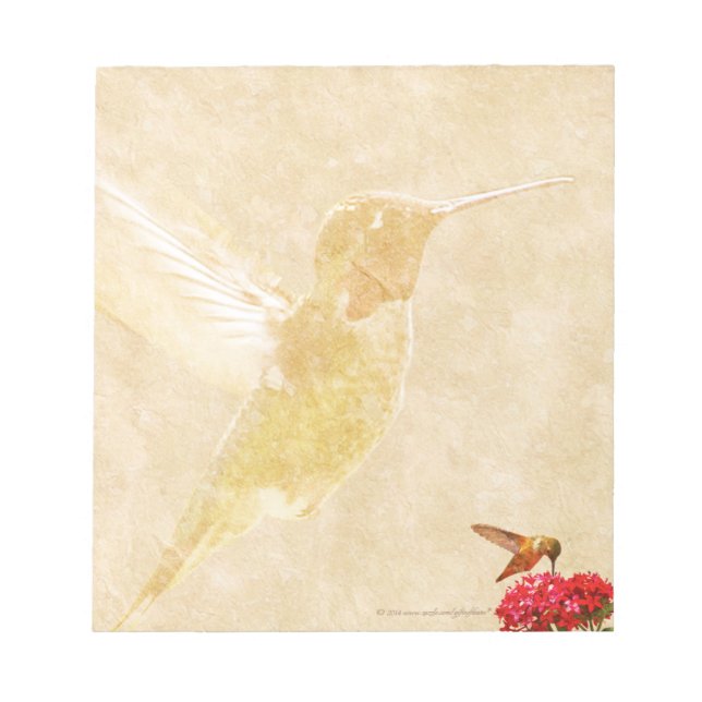 Hummingbird - KLEINER Notepad/Memo-Pad Notizblock (Vorderseite)