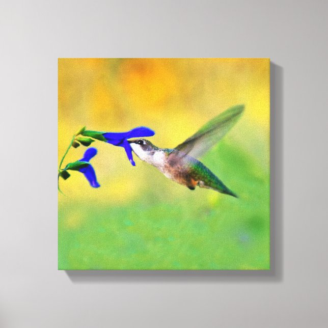 Hummingbird Lunch Leinwanddruck (Vorderseite)