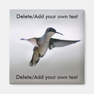 Hummingbird Magnet