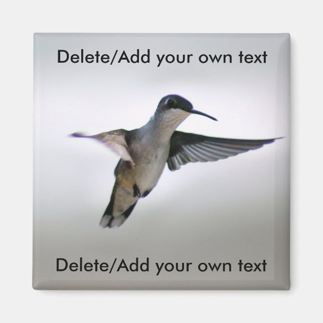 Hummingbird Magnet (Vorne)