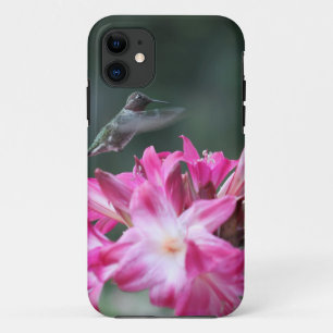 Hummingbird mit Belladonna-Lilien title_seo2