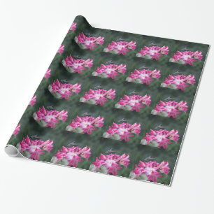 Hummingbird mit Belladonna-Lilien Geschenkpapier