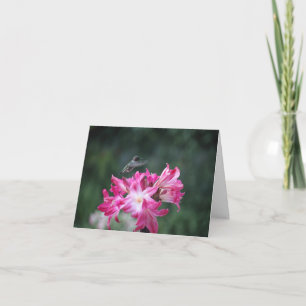 Hummingbird mit Belladonna-Lilien Karte