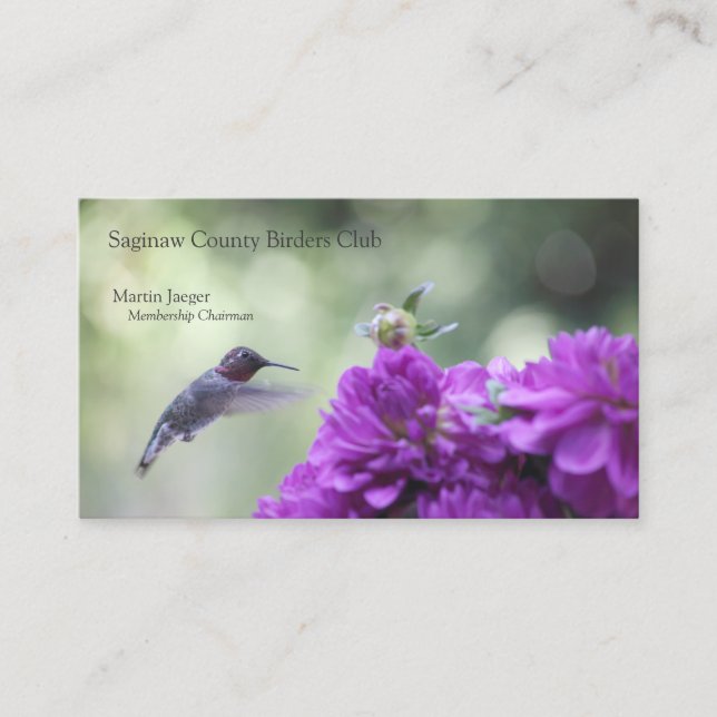 Hummingbird mit lila Dahlien Visitenkarte (Vorderseite)