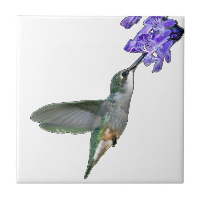 Hummingbird mit Mona Lavender Fliese (Vorderseite)
