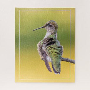 Hummingbird mit Warnhinweis