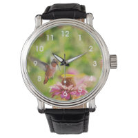 Hummingbird mit Zinnia-Blume