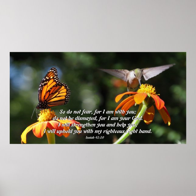Hummingbird Monarch Butterfly Blumen Poster (Vorne)