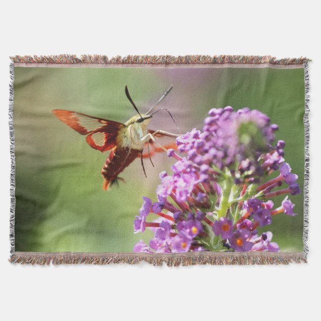 Hummingbird Moth on Butterfly Bush Decke (Vorderseite)
