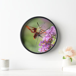 Hummingbird Moth on Butterfly Bush Uhr