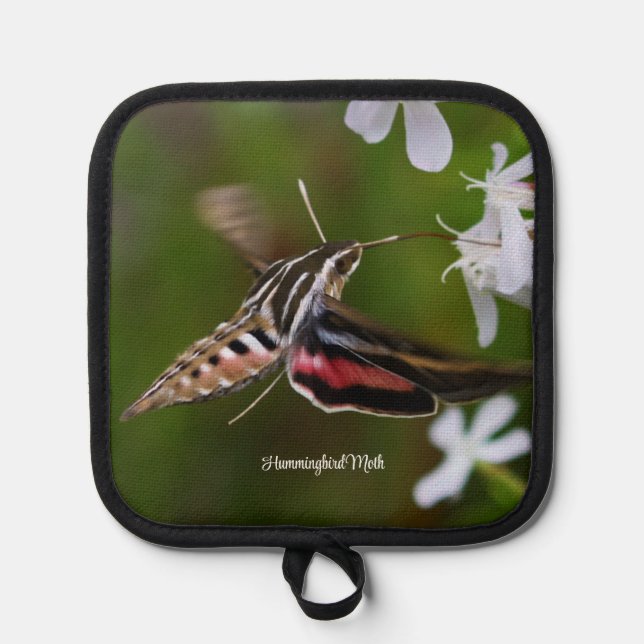Hummingbird Moth Topflappen (Vorderseite)