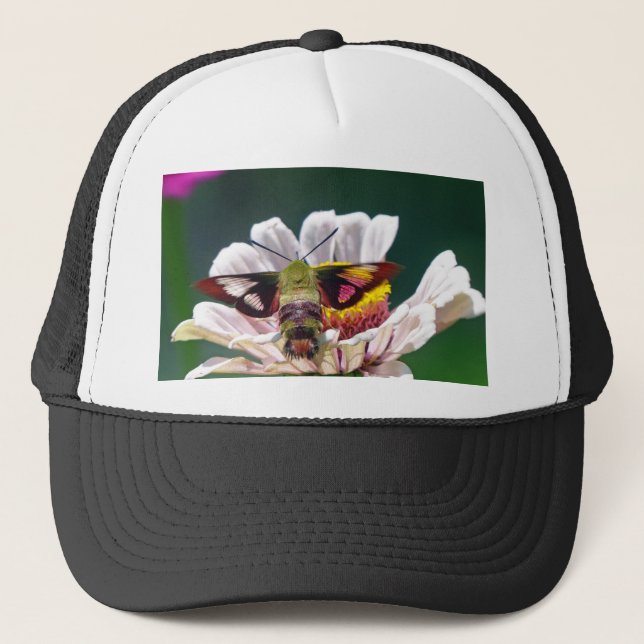 Hummingbird Moth Truckerkappe (Vorderseite)