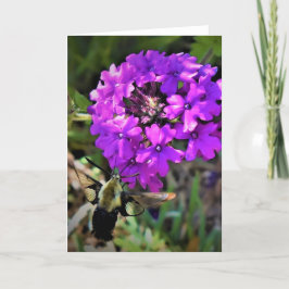 Hummingbird Moth & Verbena, Karte