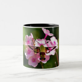 Hummingbird-Motte Zweifarbige Tasse