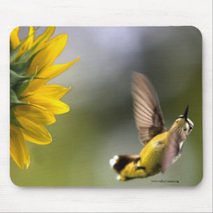 Hummingbird Mouse Pad Mousepad