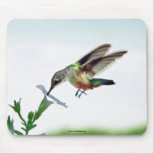 Hummingbird Mouse Pad Mousepad