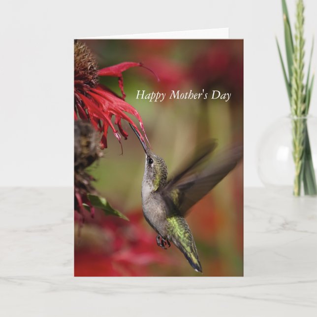 Hummingbird Muttertagskarte Karte (Vorderseite)
