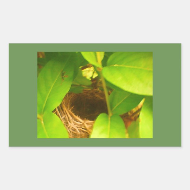 Hummingbird Nest Rechteckkleber Rechteckiger Aufkleber (Vorderseite)