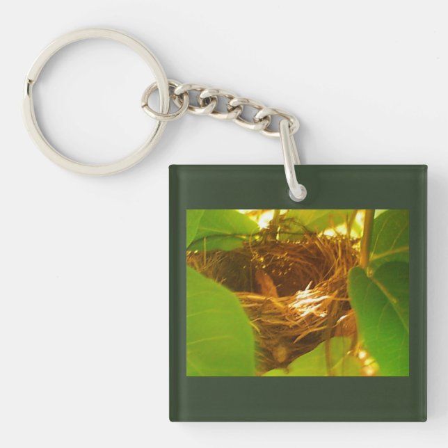 Hummingbird Nest Schlüsselanhänger (Vorderseite)