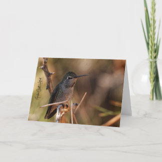 Hummingbird Note Card Karte