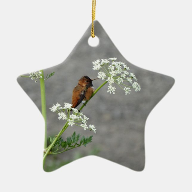 Hummingbird on Queen Ann's lace flower Keramik Ornament (Vorne)