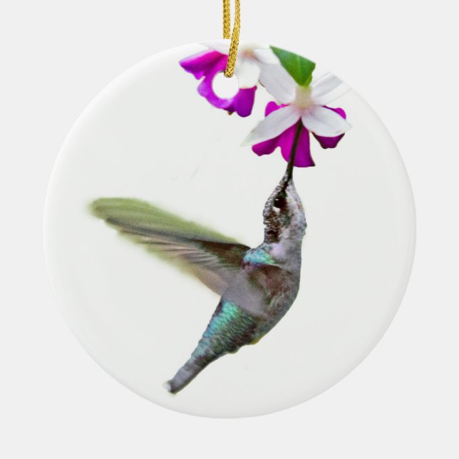Hummingbird Ornament (Vorne)