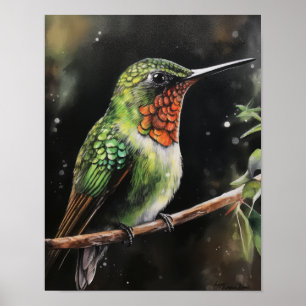 Hummingbird Painting Art Print Poster