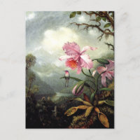 Hummingbird Perched, fine art,