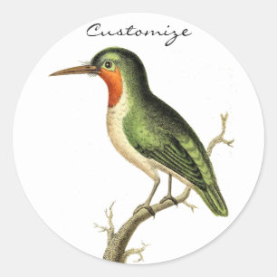 Hummingbird Perched Thunder_Cove Runder Aufkleber