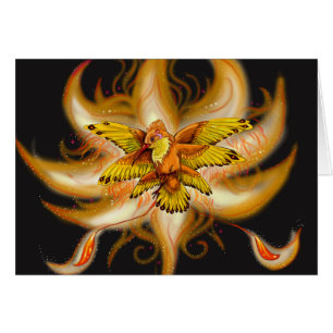 Hummingbird Pheonix