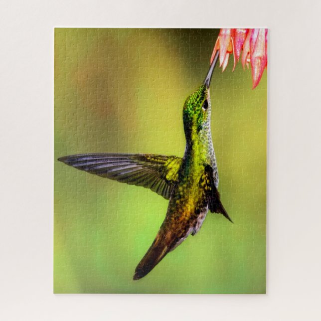 Hummingbird Pink Blume Bird (Vertikal)