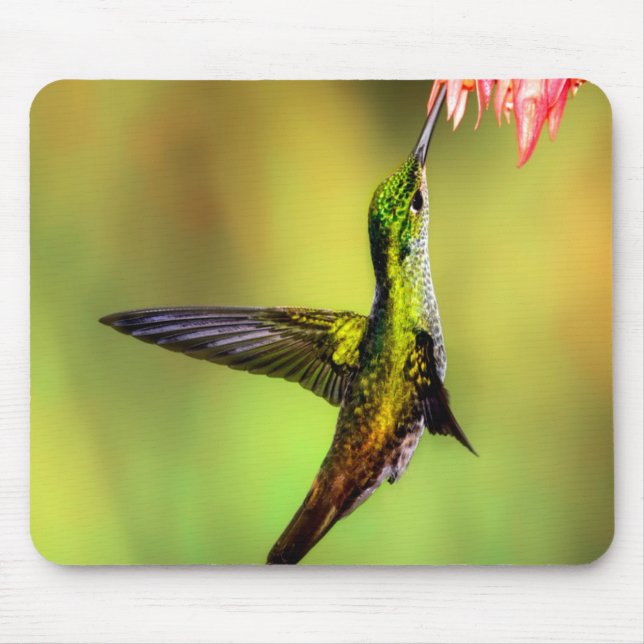 Hummingbird Pink Blume Bird Mousepad (Vorne)