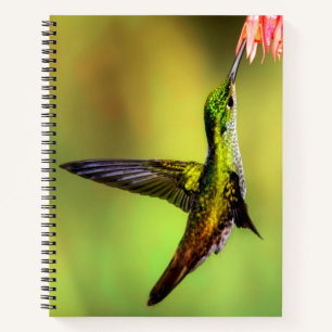 Hummingbird Pink Blume Bird Notizbuch