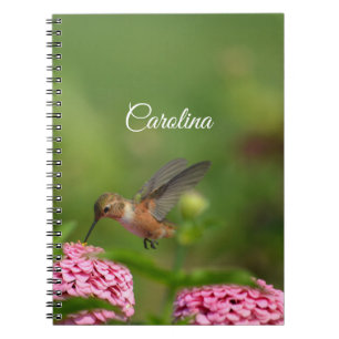 Hummingbird Pink-Blume Notizblock