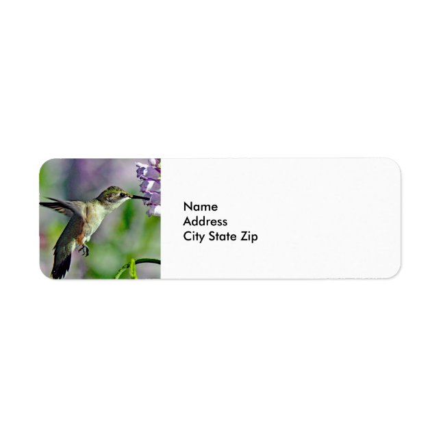 Hummingbird Pink Floral Wildlife Foto (Vorne)