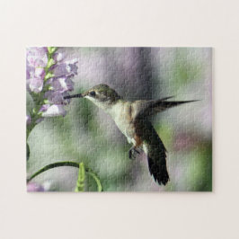 Hummingbird Pink Floral Wildlife Foto