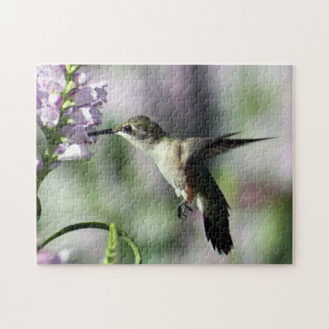 Hummingbird Pink Floral Wildlife Foto (Horizontal)