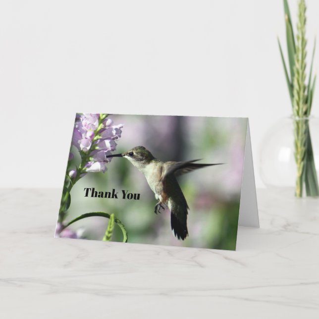 Hummingbird Pink Floral Wildlife Foto Dankeskarte (Vorderseite)