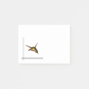 Hummingbird Postit Notes Post-it Klebezettel