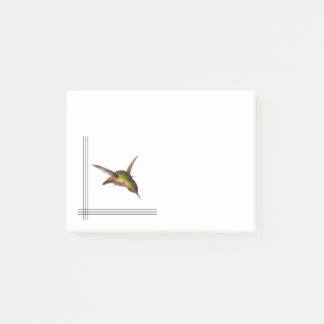 Hummingbird Postit Notes Post-it Klebezettel
