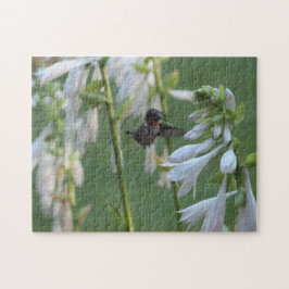 Hummingbird Puzzle