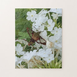 Hummingbird Puzzle