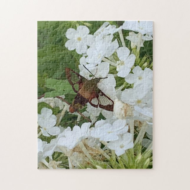 Hummingbird Puzzle (Vertikal)