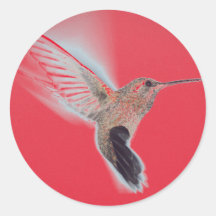 HUMMINGBIRD RED Sticker