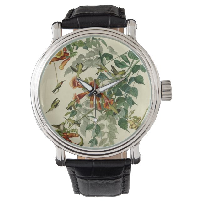 Hummingbird Ruby Throated Audubon Armbanduhr (Vorderseite)