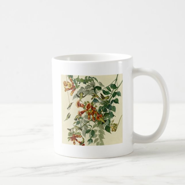 Hummingbird Ruby Throated Audubon Kaffeetasse (Rechts)