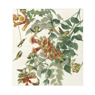 Hummingbird Ruby Throated Audubon Notizblock